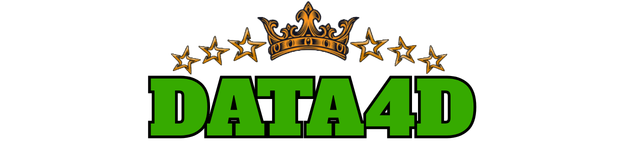 Data4D Logo